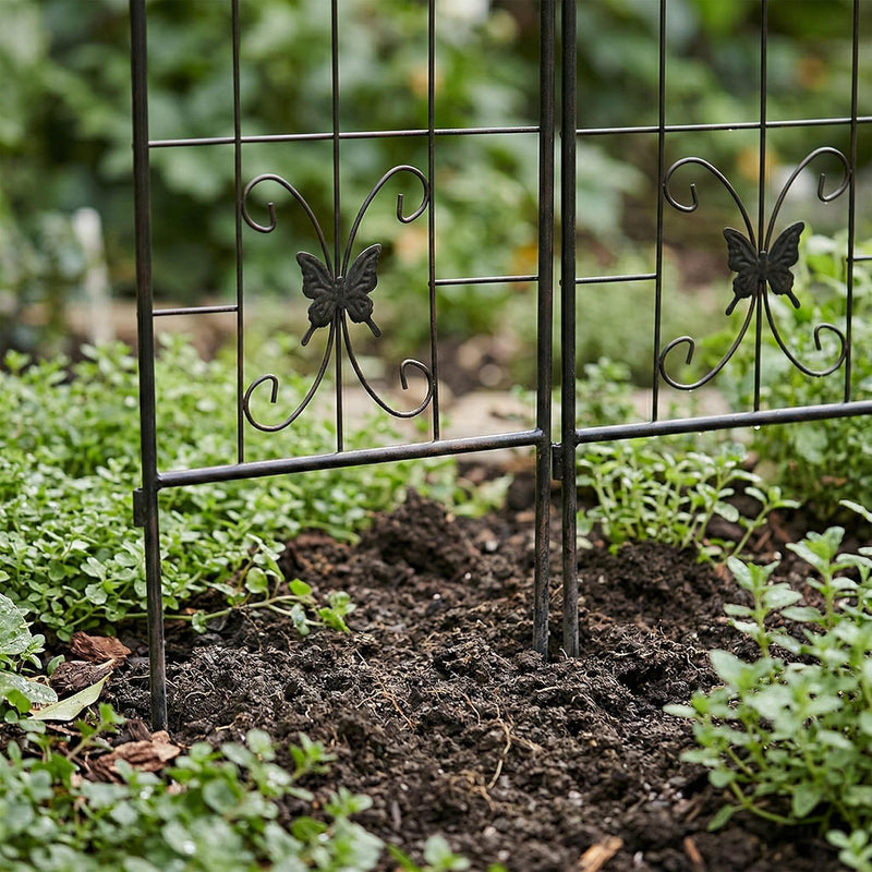 Iron Rose Trellises Garden Climbing Supports (Set of 2)