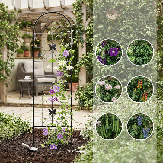Iron Rose Trellises Garden Climbing Supports 180 X (Set of 2)
