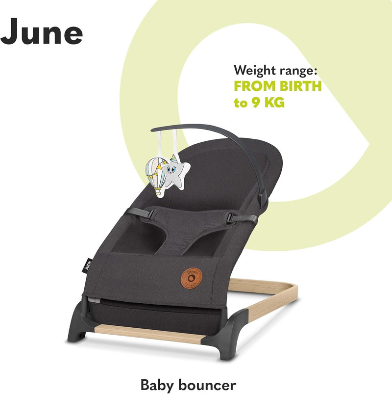 June Baby Bouncer and Rocker From Birth Up