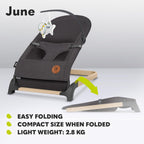 June Baby Bouncer and Rocker From Birth Up