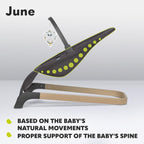 June Baby Bouncer and Rocker From Birth Up