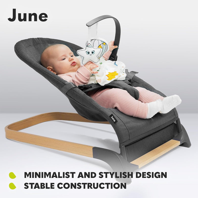 June Baby Bouncer and Rocker From Birth Up