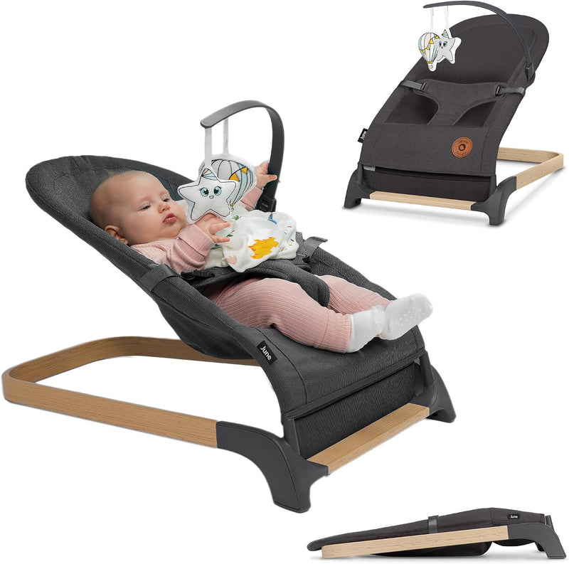 June Baby Bouncer and Rocker From Birth Up