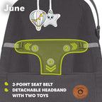 June Baby Bouncer and Rocker From Birth Up
