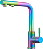 Kitchen Mixer Tap with Pull-Out Spray Head Stainless