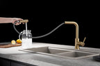 Kitchen Mixer Tap with Pull-Out Spray Head Stainless