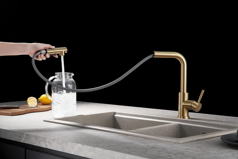 Kitchen Mixer Tap with Pull-Out Spray Head Stainless
