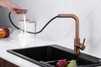 Kitchen Mixer Tap with Pull-Out Spray Head Stainless