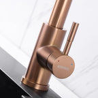 Kitchen Mixer Tap with Pull-Out Spray Head Stainless