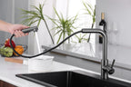 Kitchen Mixer Tap with Pull-Out Spray Head Stainless