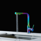 Kitchen Mixer Tap with Pull-Out Spray Head Stainless