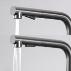 Kitchen Mixer Tap with Pull-Out Spray Head Stainless