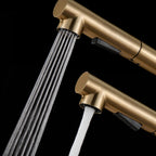 Kitchen Mixer Tap with Pull-Out Spray Head Stainless