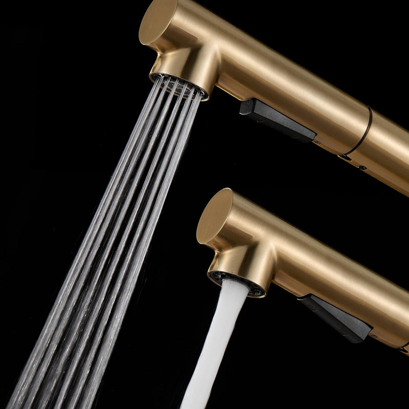 Kitchen Mixer Tap with Pull-Out Spray Head Stainless