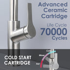 Kitchen Mixer Tap with Pull Out Spray Single