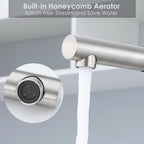 Kitchen Mixer Tap with Pull Out Spray Single