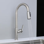 Kitchen Mixer Tap with Pull Out Spray Single