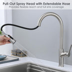 Kitchen Mixer Tap with Pull Out Spray Single