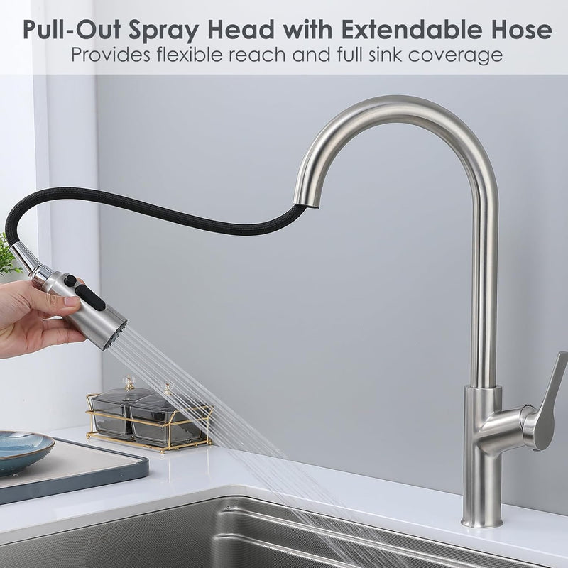 Kitchen Mixer Tap with Pull Out Spray Single