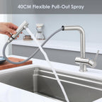 Kitchen Mixer Tap with Pull Out Spray Single
