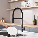 Kitchen Sink Mixer Tap Flexible with Pull Out