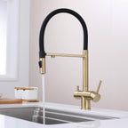 Kitchen Sink Mixer Tap with Filtered Drinking Water
