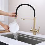 Kitchen Sink Mixer Tap with Filtered Drinking Water