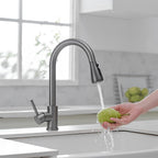 Kitchen Sink Mixer Tap with Pull Down Sprayer