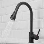 Kitchen Sink Mixer Tap with Pull Down Sprayer