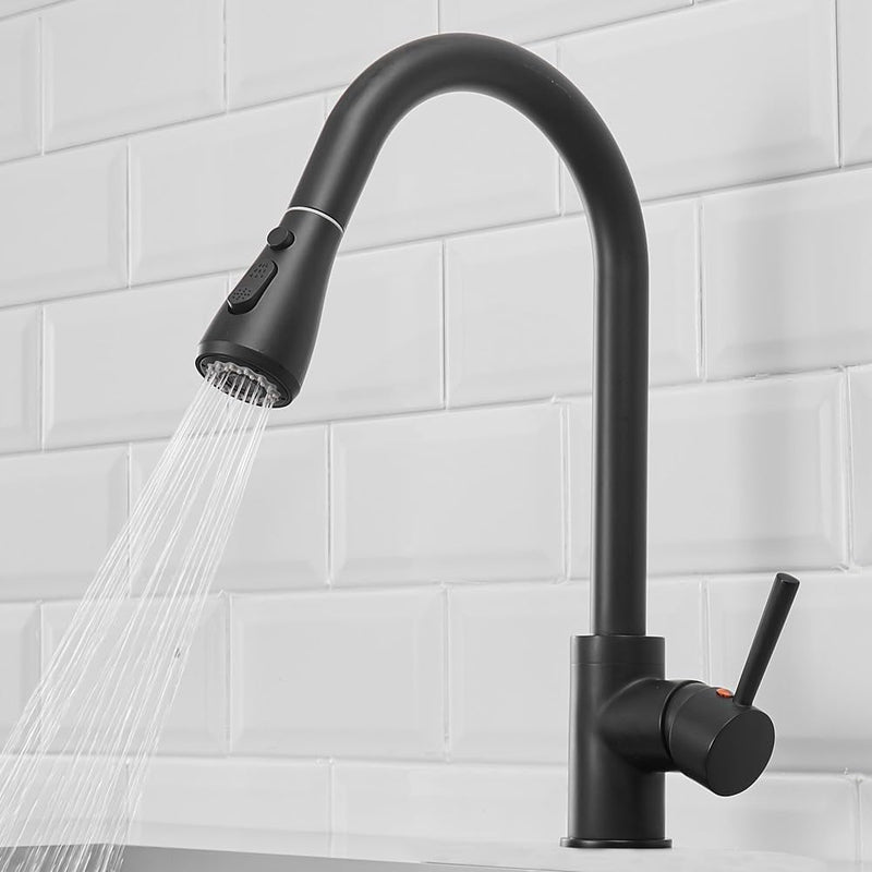 Kitchen Sink Mixer Tap with Pull Down Sprayer