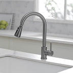 Kitchen Sink Mixer Tap with Pull Down Sprayer