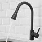 Kitchen Sink Mixer Tap with Pull Down Sprayer