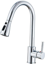 Kitchen Sink Mixer Tap with Pull Down Sprayer
