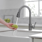 Kitchen Sink Mixer Tap with Pull Down Sprayer