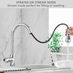 Kitchen Sink Mixer Tap with Pull Down Sprayer