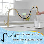 Kitchen Sink Mixer Tap with Pull Down Sprayer