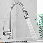 Kitchen Sink Mixer Tap with Pull Down Sprayer