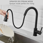 Kitchen Sink Mixer Tap with Pull Down Sprayer