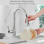 Kitchen Sink Mixer Tap with Pull Down Sprayer