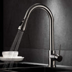 Kitchen Sink Mixer Tap with Pull Down Sprayer