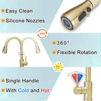 Kitchen Sink Mixer Tap with Pull Down Sprayer