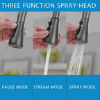 Kitchen Sink Mixer Tap with Pull Down Sprayer