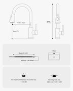 Kitchen Sink Tap Mixer with Pull Out Sprayer