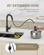 Kitchen Sink Tap Mixer with Pull Out Sprayer