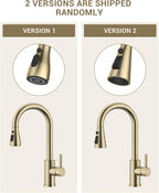 Kitchen Sink Tap Mixer with Pull Out Sprayer