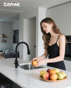 Kitchen Sink Tap Mixer with Pull Out Sprayer