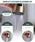 Kitchen Sink Tap Mixer with Pull Out Sprayer