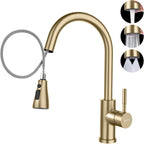 Kitchen Sink Tap Mixer with Pull Out Sprayer