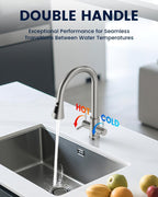 Kitchen Sink Tap Mixer with Pull Out Sprayer