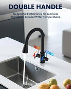 Kitchen Sink Tap Mixer with Pull Out Sprayer